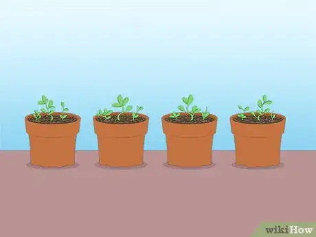 Image titled Propagate Azaleas Step 45