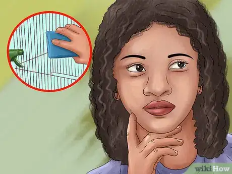 Image titled Adopt a Guinea Pig Step 2