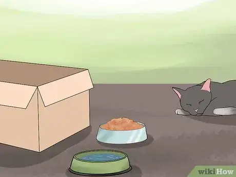 Image titled Calm an Aggressive Cat Step 6