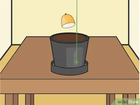 Image titled Plant Potatoes in Pots Step 12