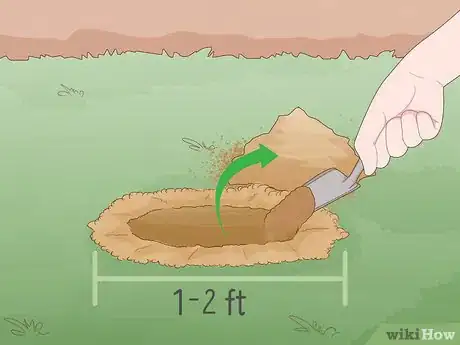 Image titled Grow Boxwood Shrubs Step 12