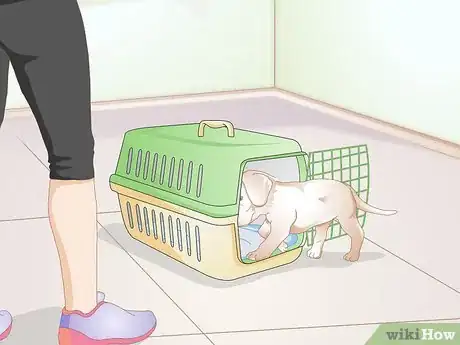 Image titled Crate Train a Small Dog Step 4
