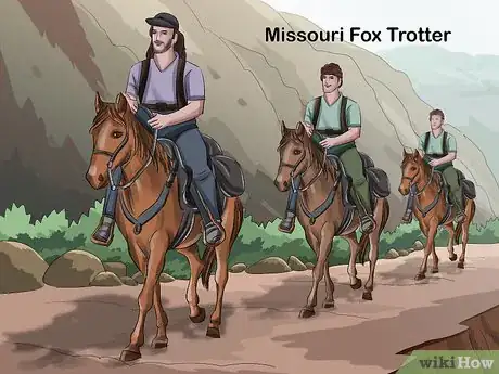 Image titled Choose the Right Breed of Horse for You Step 3