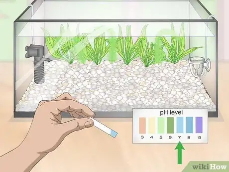 Image titled Set up a Planted Goldfish Aquarium Step 14