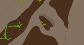 Plow With Two Row Cultivators