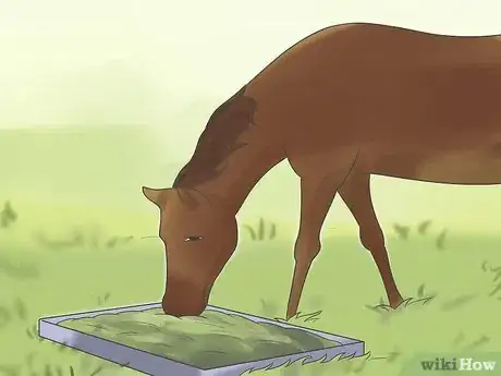 Image titled Take Proper Care of Your Horse's Teeth Step 13