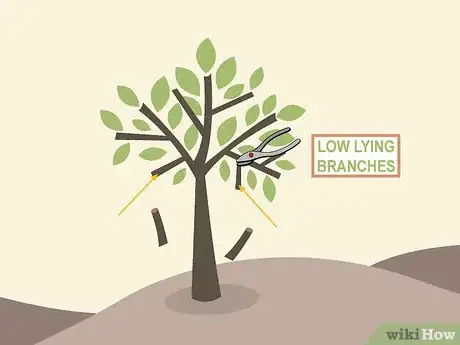 Image titled Prune Citrus Trees Step 6