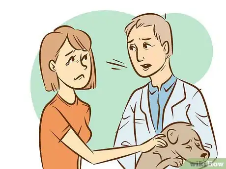 Image titled Recognize a Dying Dog Step 14