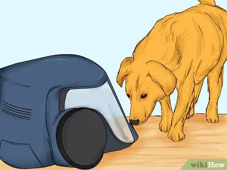 Image titled Teach Your Pet Not to be Scared of the Vacuum Cleaner Step 3
