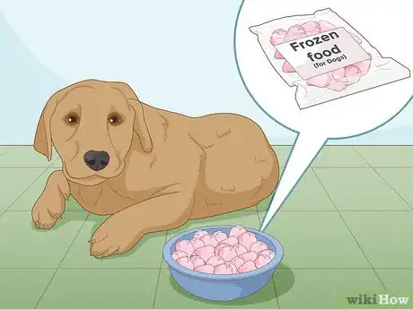 Image titled Keep a Dog Cool in Hot Weather Step 13