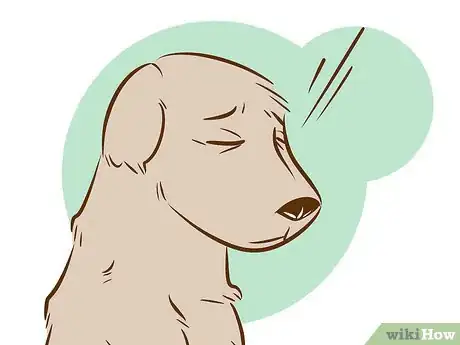 Image titled Recognize a Dying Dog Step 10