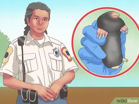 Image titled Catch Moles Step 16