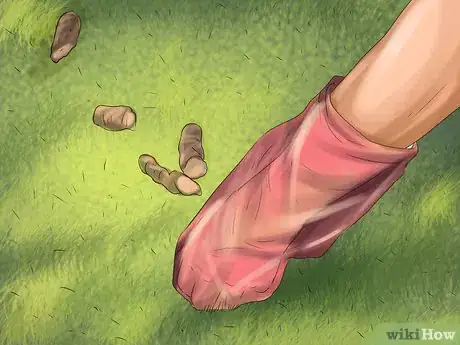 Image titled Keep a Dog or Cat Successfully While Living in an Apartment Step 10