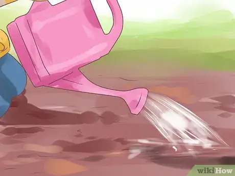 Image titled Grow Sweet Corn Step 8