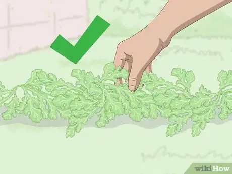 Image titled Make a Tiered Planter Step 12