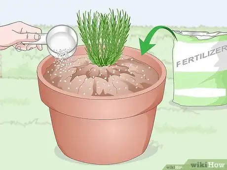 Image titled Pertilizer