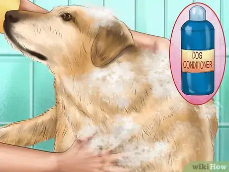 Image titled Care for Your Dog on the Beach Step 21