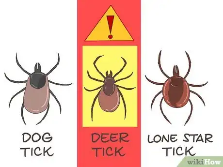 Image titled Prevent Lyme Disease Step 11