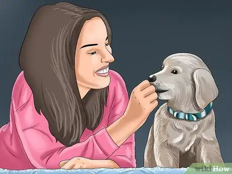 Image titled Get the Right Stuff for Your New Puppy Step 10