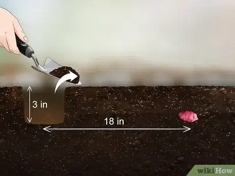 Image titled Grow Oca Step 8