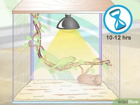 Image titled Prevent MBD in Chameleons Step 7