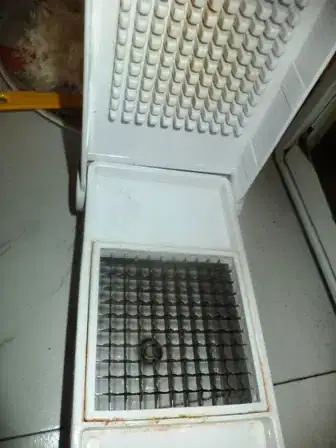 Image titled DSC02651.JPG