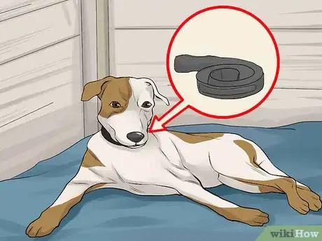 Image titled Handle a Mother Dog Refusing to Stay with Her Puppies Step 2