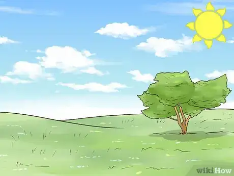 Image titled Plant Wildflowers Step 4