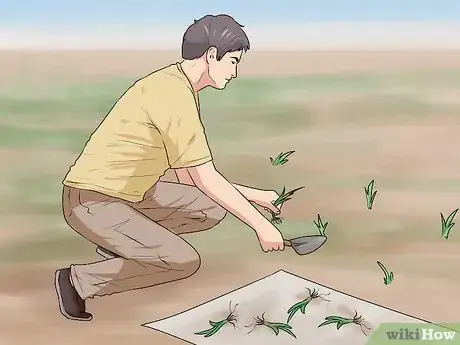 Image titled Design a Desert Garden Step 3