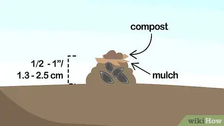 Image titled Grow Squash Step 13