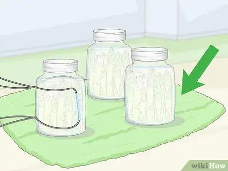 Image titled Can Asparagus Without a Pressure Canner Step 12