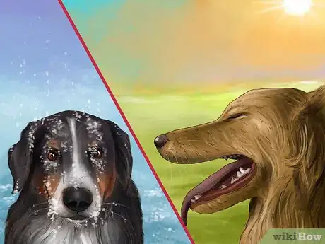 Image titled Track Your Dog's Patterns Step 12