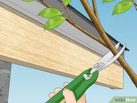 Image titled Prevent Drywood Termites Step 9