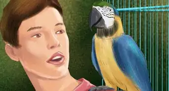 Select a Pet Parrot