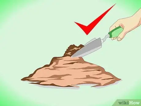 Image titled Grow Plumeria from Cuttings Step 3