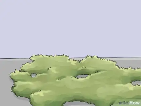 Image titled Remove an Ivy Plant Step 18