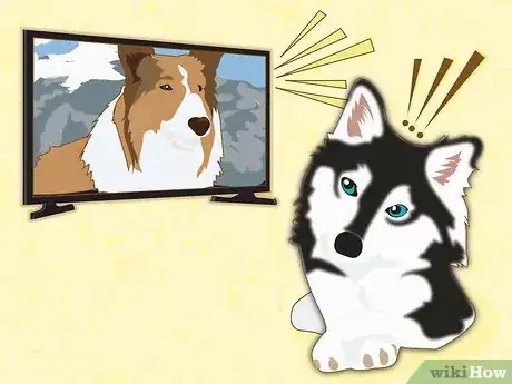 Image titled Name a Husky Step 4