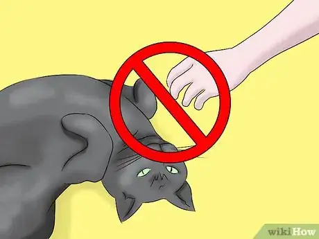 Image titled Help a Cat with Epileptic Seizures Step 2