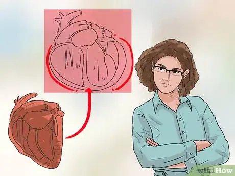 Image titled Treat Heart Conditions in Doberman Pinschers Step 6