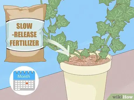 Image titled Grow a Topiary Step 27