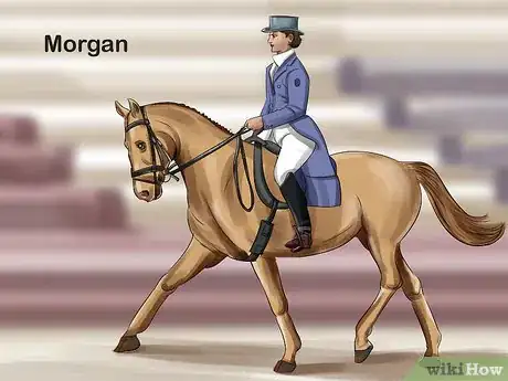 Image titled Choose the Right Breed of Horse for You Step 10
