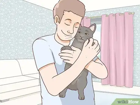 Image titled Handle Degenerative Joint Disease in Cats Step 9