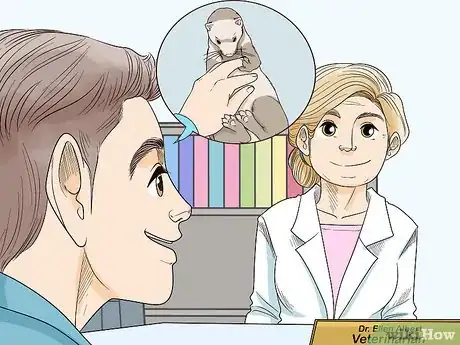 Image titled Get Your Ferret Vaccinated Step 2