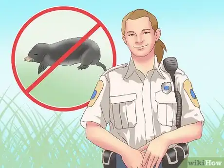 Image titled Catch Moles Step 20