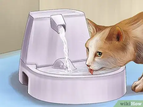 Image titled Stop a Cat from Drinking from Odd Places Step 3