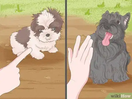 Image titled Prevent Dog Fights Step 15