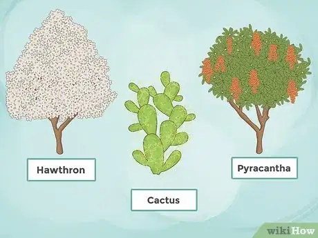 Image titled Build a Living Fence Step 14