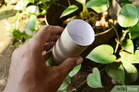 Image titled Start Seedlings in Toilet Paper Rolls Step 2