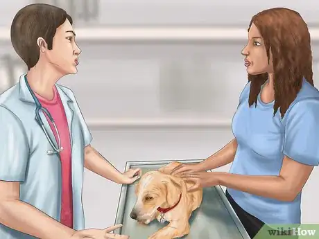 Image titled Choose a Vet Step 8