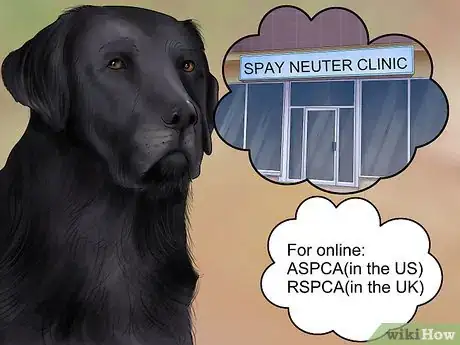 Image titled Know if You Are Ready for a Dog Step 2